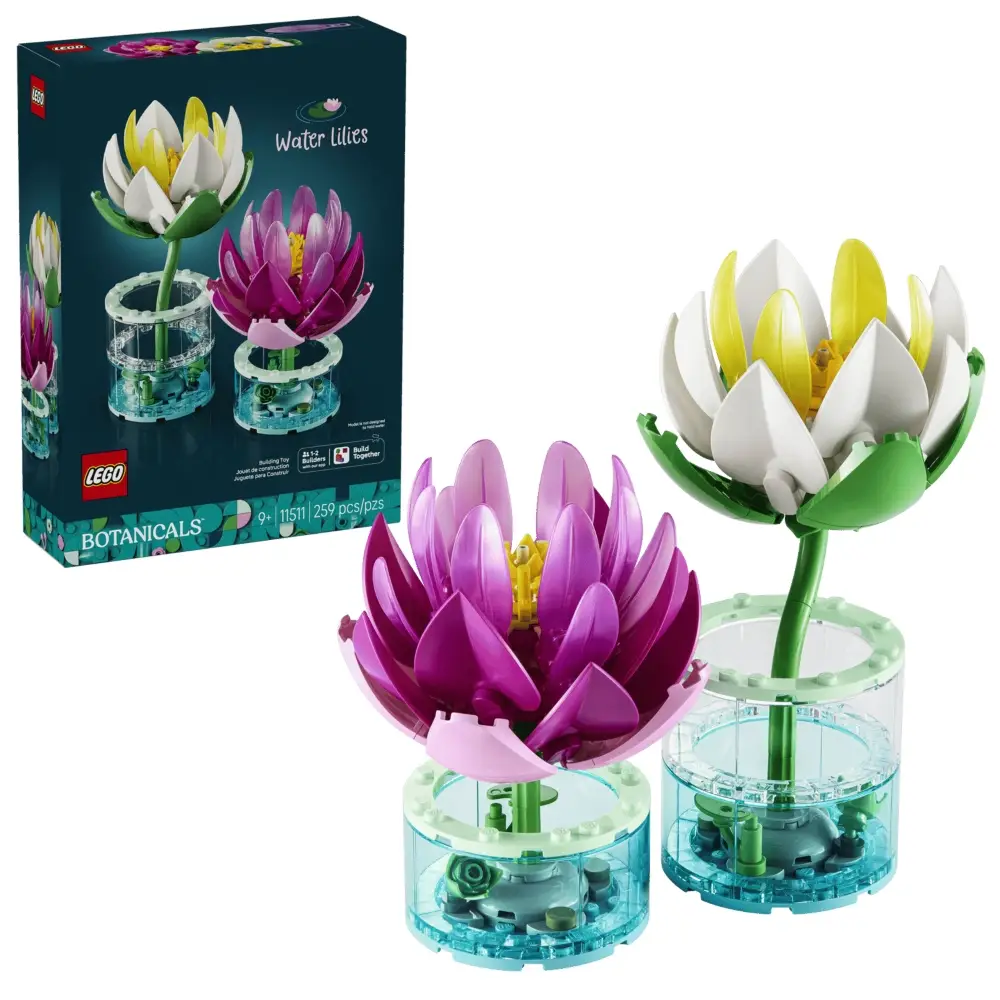 Water Lilies