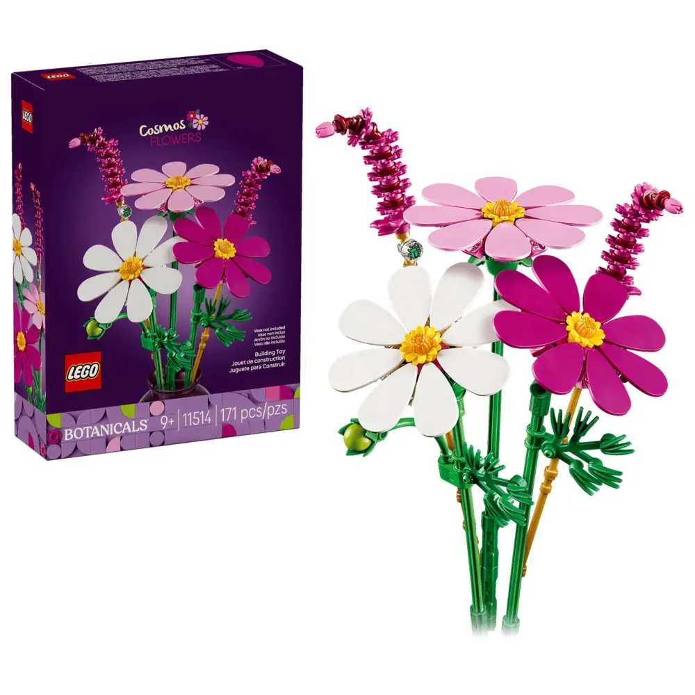 Cosmos Flowers