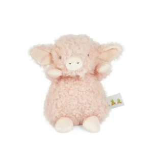 Wee Hammie Pig