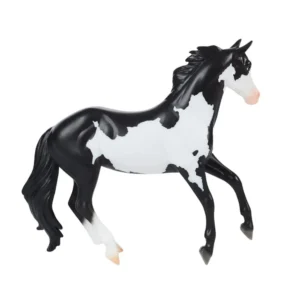 Frame Overo Stock Horse