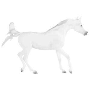 Grey Arabian