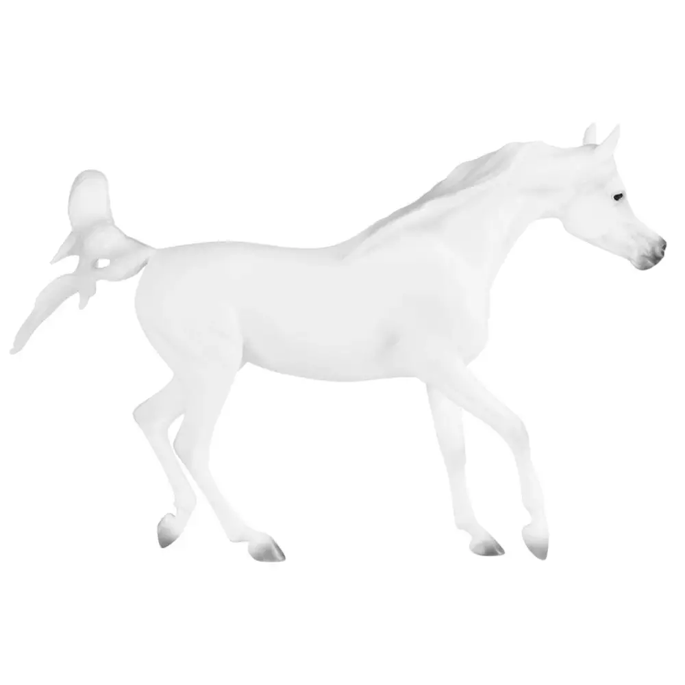Grey Arabian