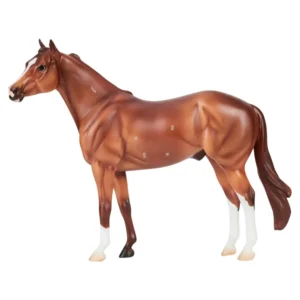 Apollitical Jess Racehorse