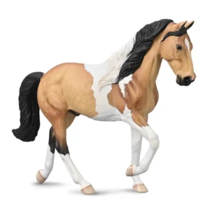 Buckskin Tobiano Tennessee Walker