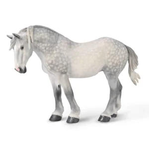 Percheron Mare Dapple Grey