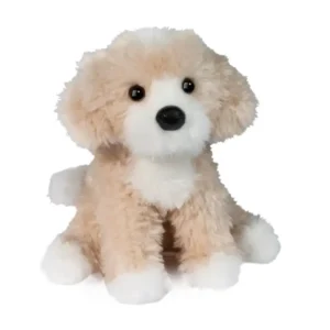 Darcy Goldendoodle