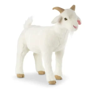 Goat