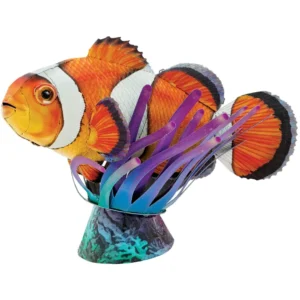 Clownfish