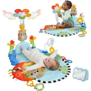 Kick & Sway Activity Gym