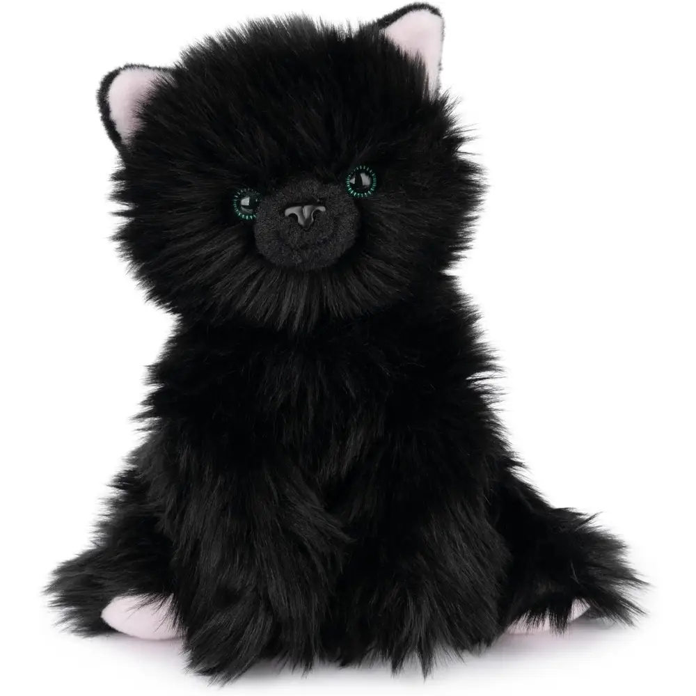 Xavier Kitten 9 Inch