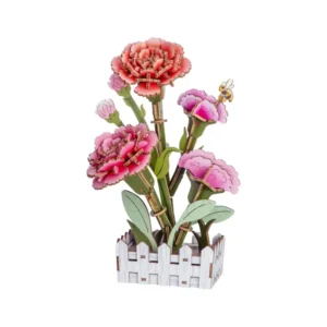 Carnation Bloom