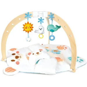 Snuggle Bear Activity Gym