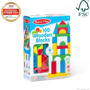 Colored Wood Blocks 100 Piece