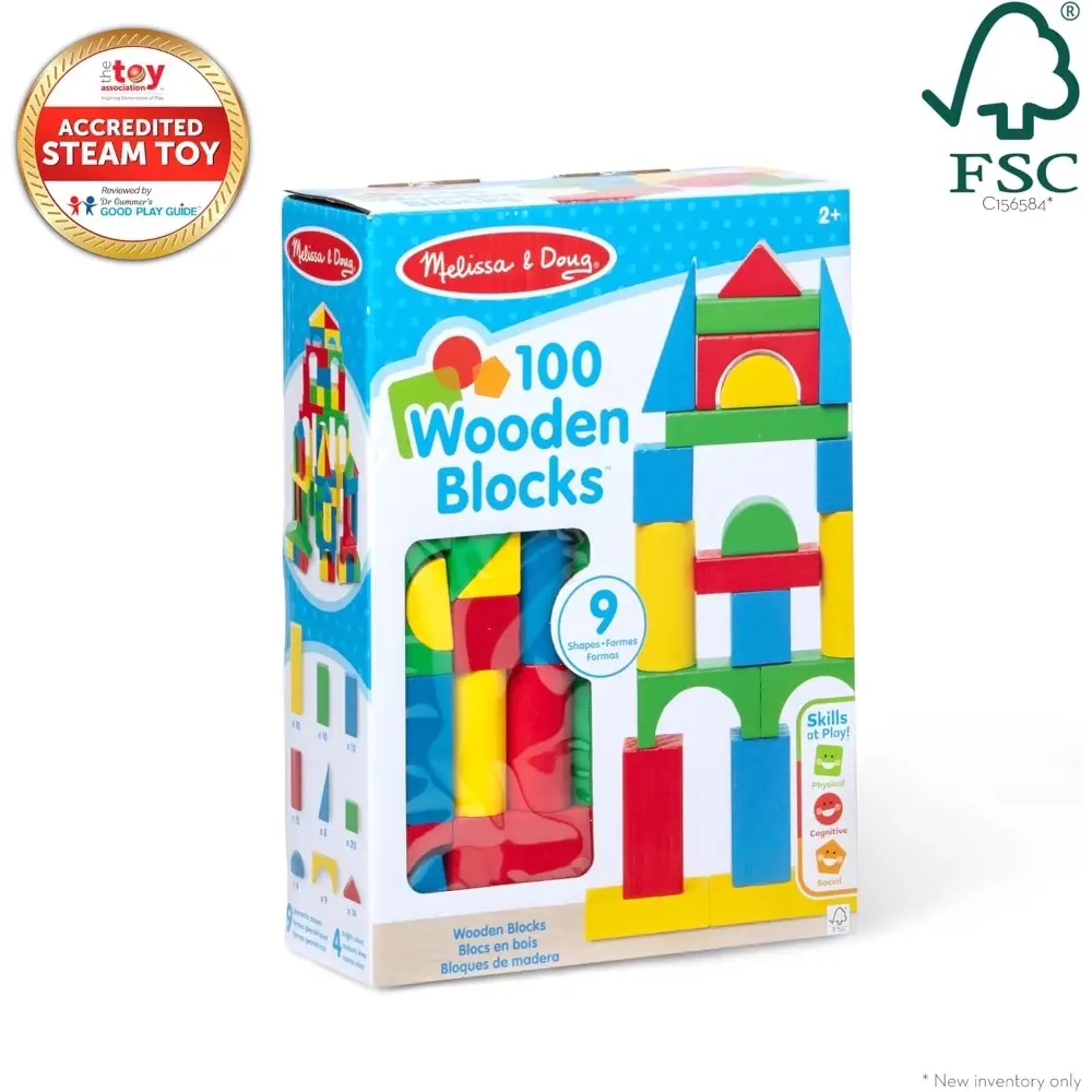 Colored Wood Blocks 100 Piece