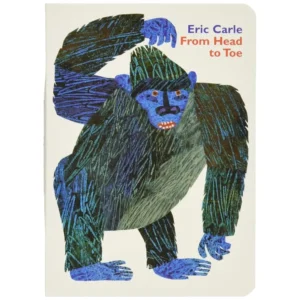 From Head To Toe - Board Book