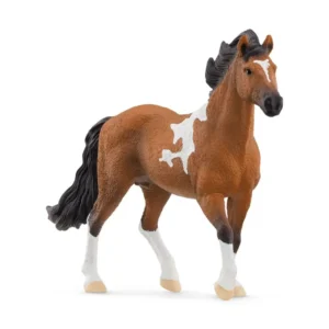 Mangalarga Stallion