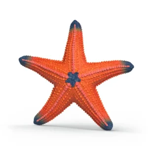 Starfish