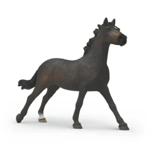 English Thouroughbred Mare