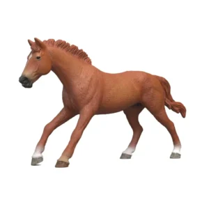 English Thouroughbred Stallion
