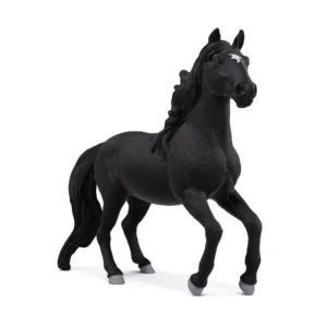 Lusitiano Stallion