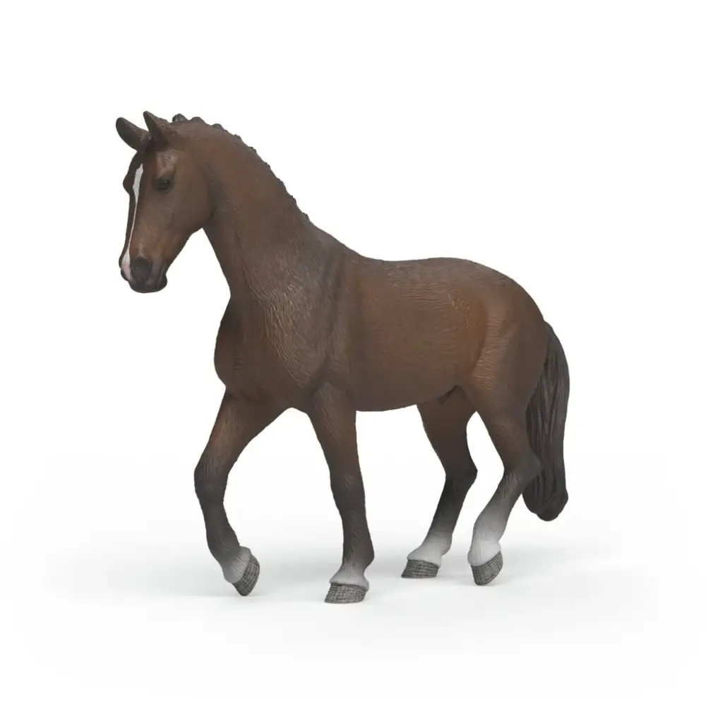 KWPN Gelding
