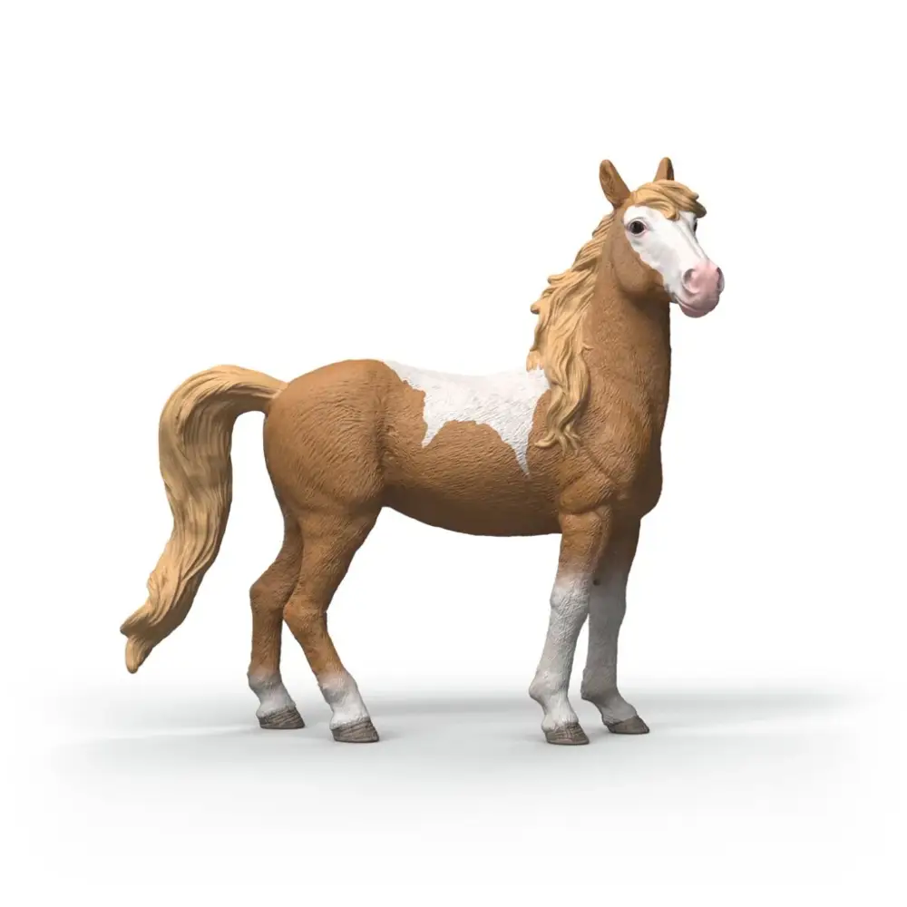 Mustang Mare