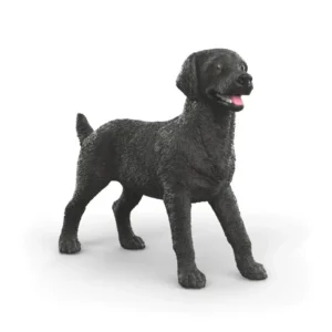 Black Lab Female