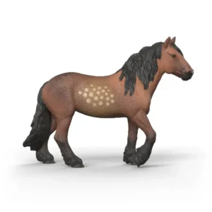Swedish Cold Blood Mare