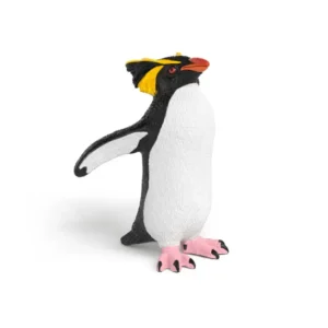 Rockhopper Penguin