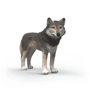 American Wolf