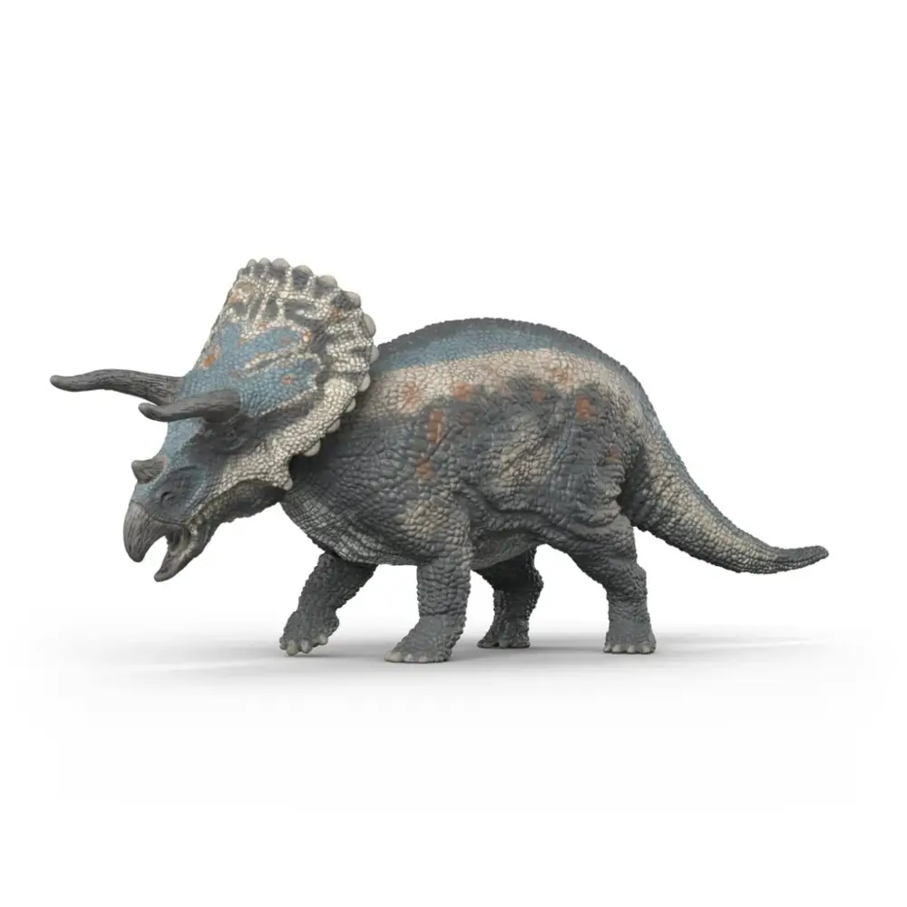Triceratops