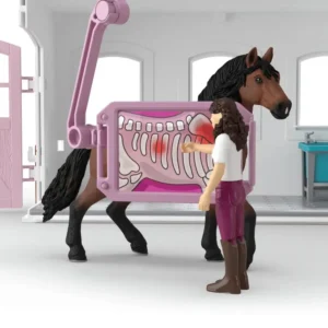 Happy Horse Hospital