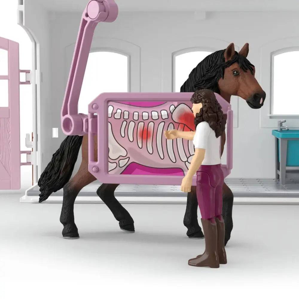 Happy Horse Hospital