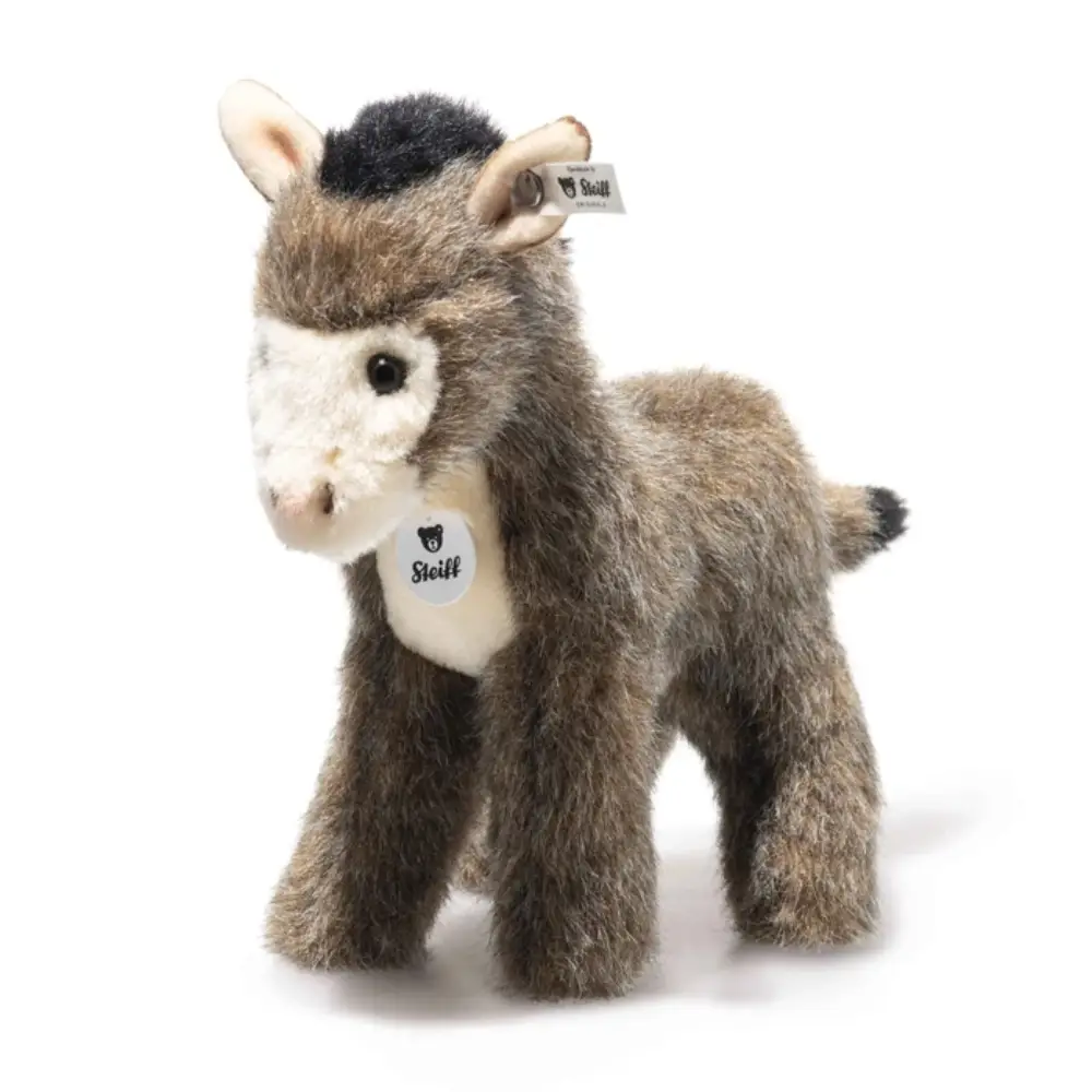Asinus Donkey