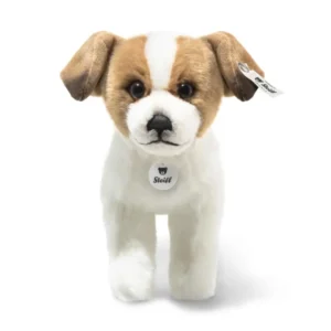 Terri Dog
