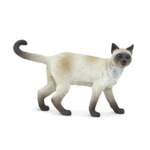 Siamese Cat