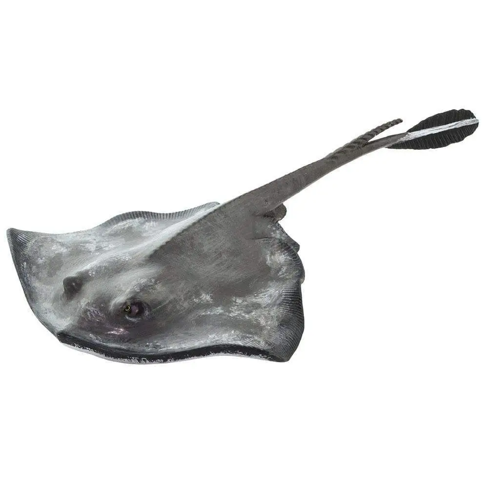 Stingray