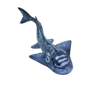 Shark Ray