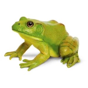 American Bullfrog 5 Inch
