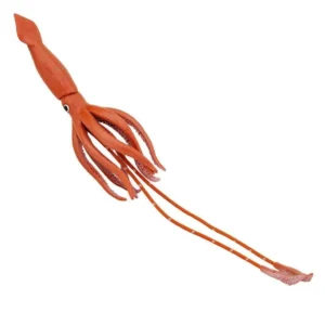 Giant Squid