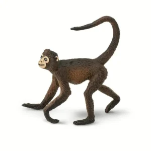 Spider Monkey