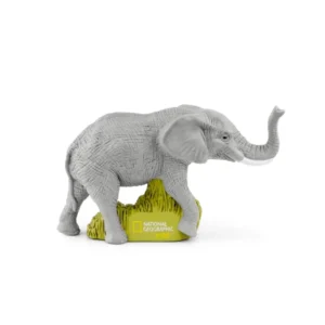 Elephants - Nat Geo Kids