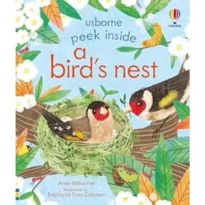 Peek Inside Bird's Nest