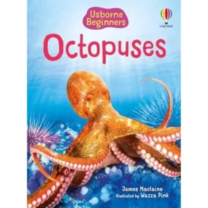 Beginners Octopuses
