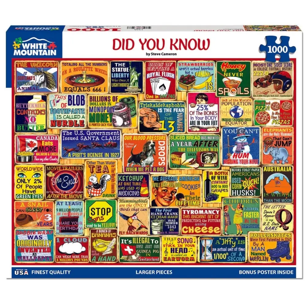 Did You Know 1000 Piece