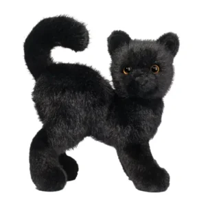 Scaredy Black Cat