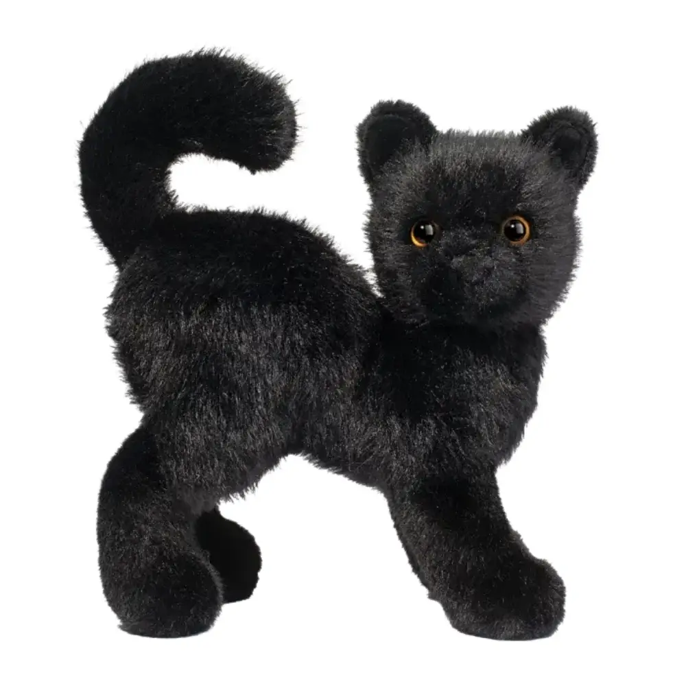 Scaredy Black Cat