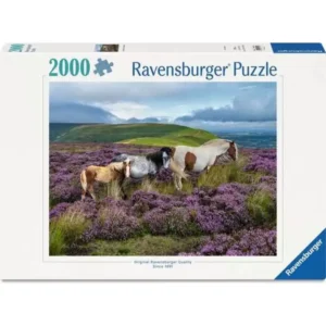 Wild Horses in Meadow 2000 Piece