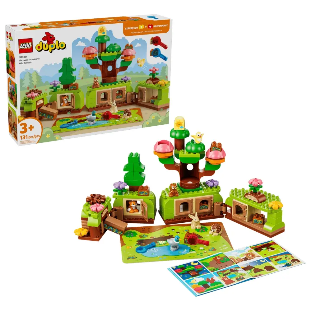 Discovery Forest with Animals