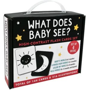 What Does Baby See Flash Cards